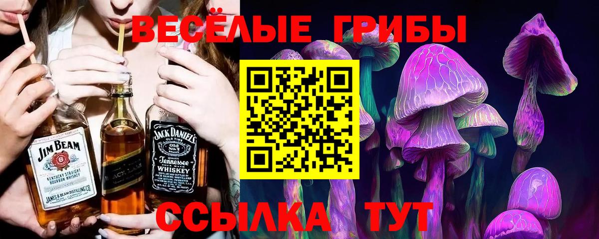 Псилоцибиновые грибы MAGIC MUSHROOMS  Галлюциногенные грибы мицелий  Нарткала  Вход с VPN 
